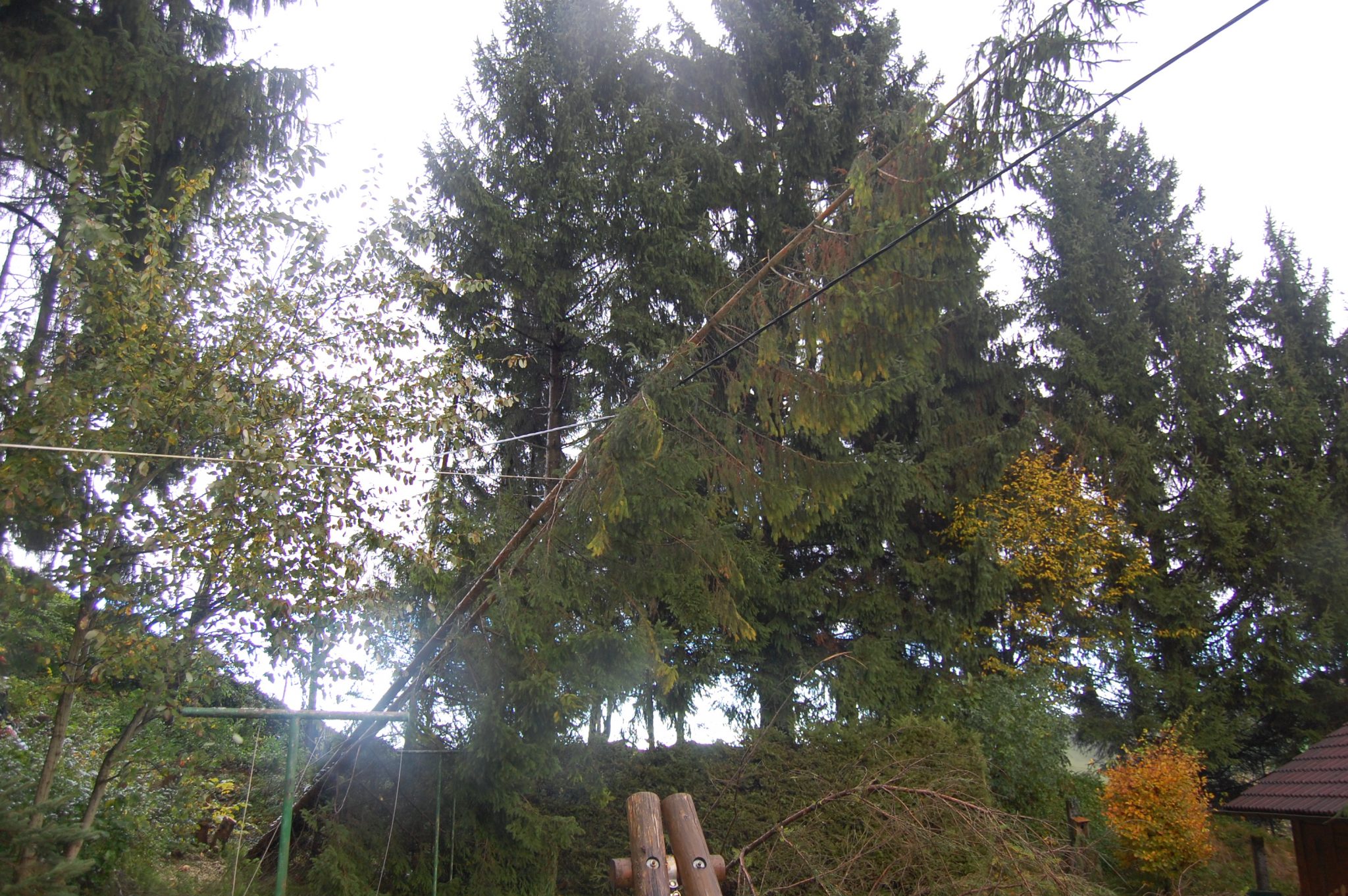 Sturmschaden
