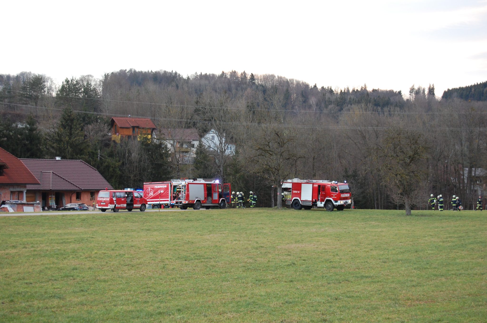 Brand Baum, Flur, Böschung